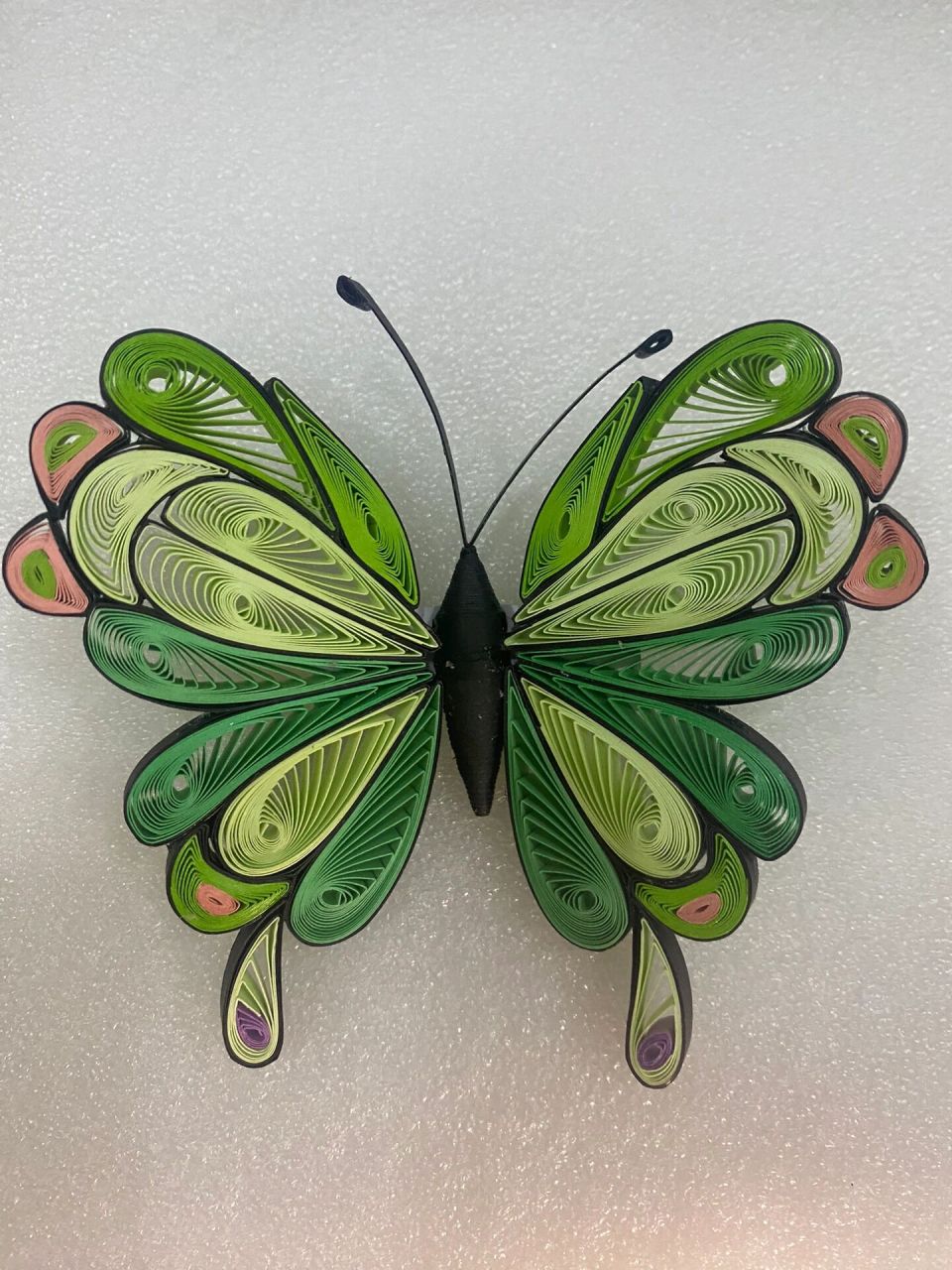 衍纸蝴蝶03 今天是绿灵蝶