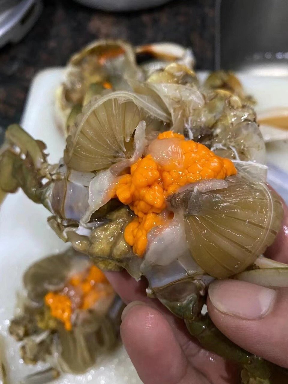 肉质紧实鲜香,营养丰富,是青蟹中的极品