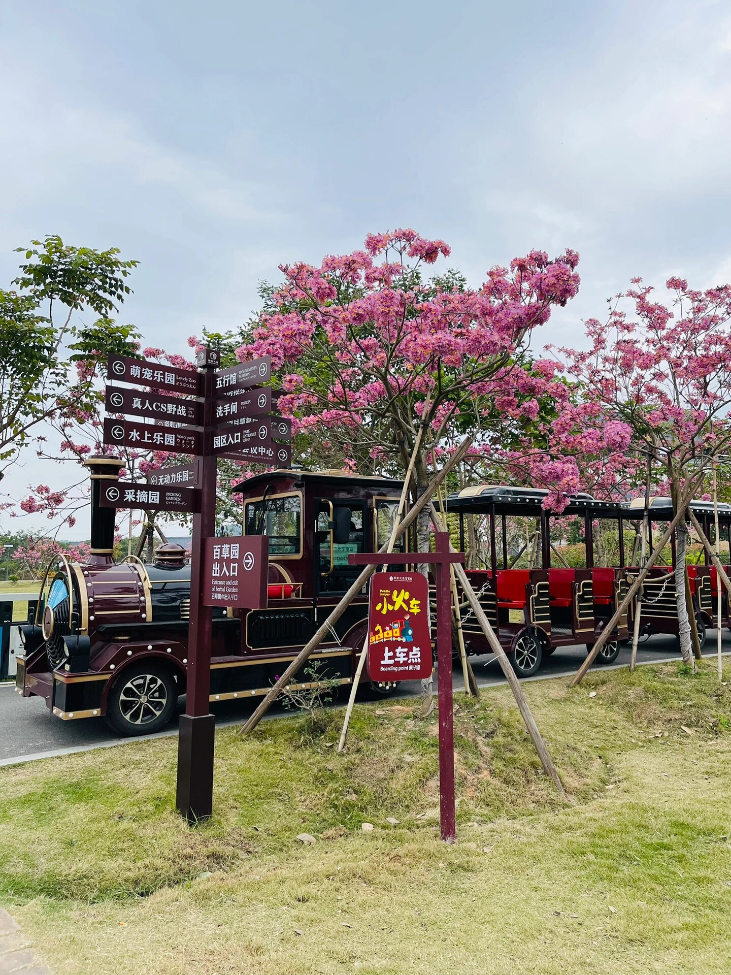 珠海百草园景区图片