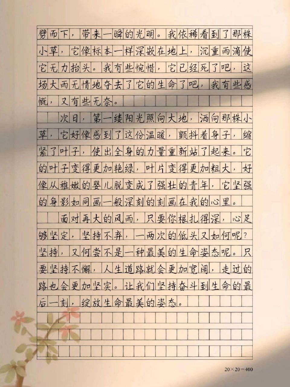 优秀作文摘抄《最美的姿态》 只要坚持不懈,人生道路就会更加宽阔