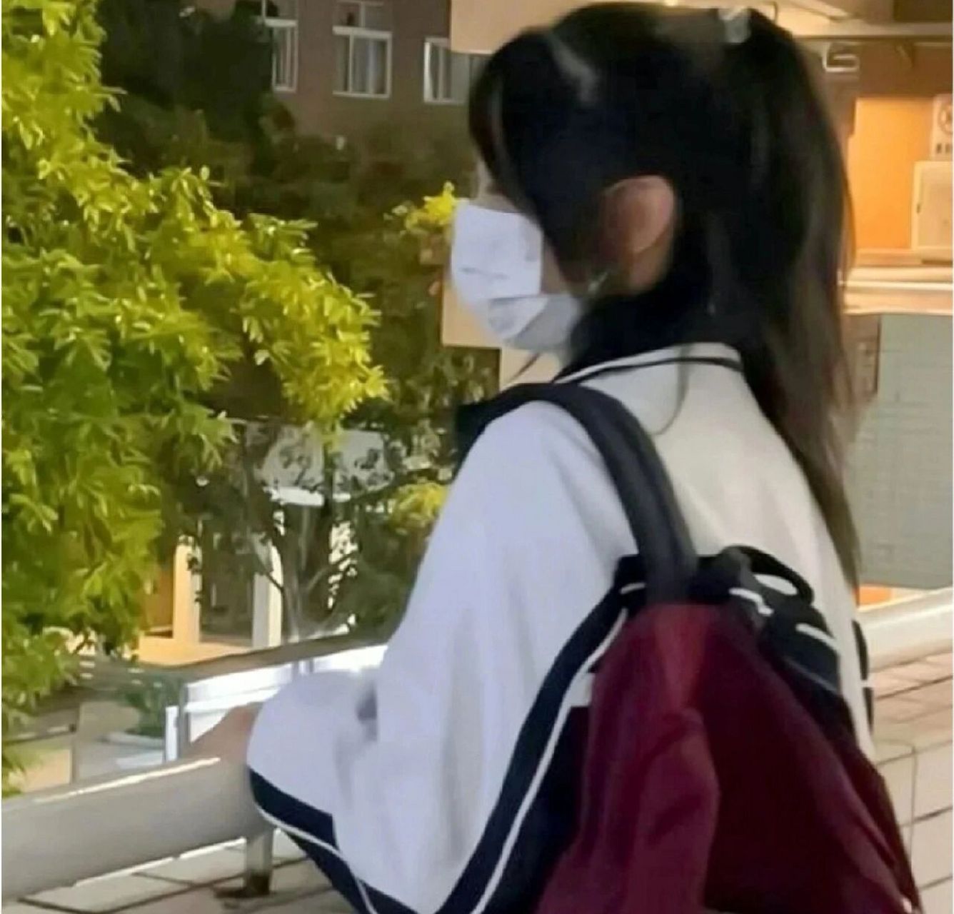 93头像分享|青春感校园女头   "青春是窗外的梧桐树, 是骄阳,是满怀