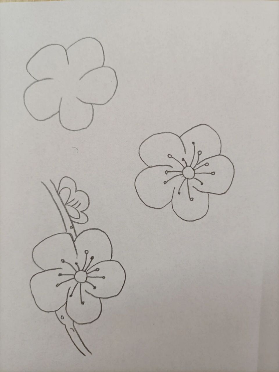 简笔画(209)梅花 坚持,加油! 宝剑锋从磨砺出,梅花香自苦寒来.