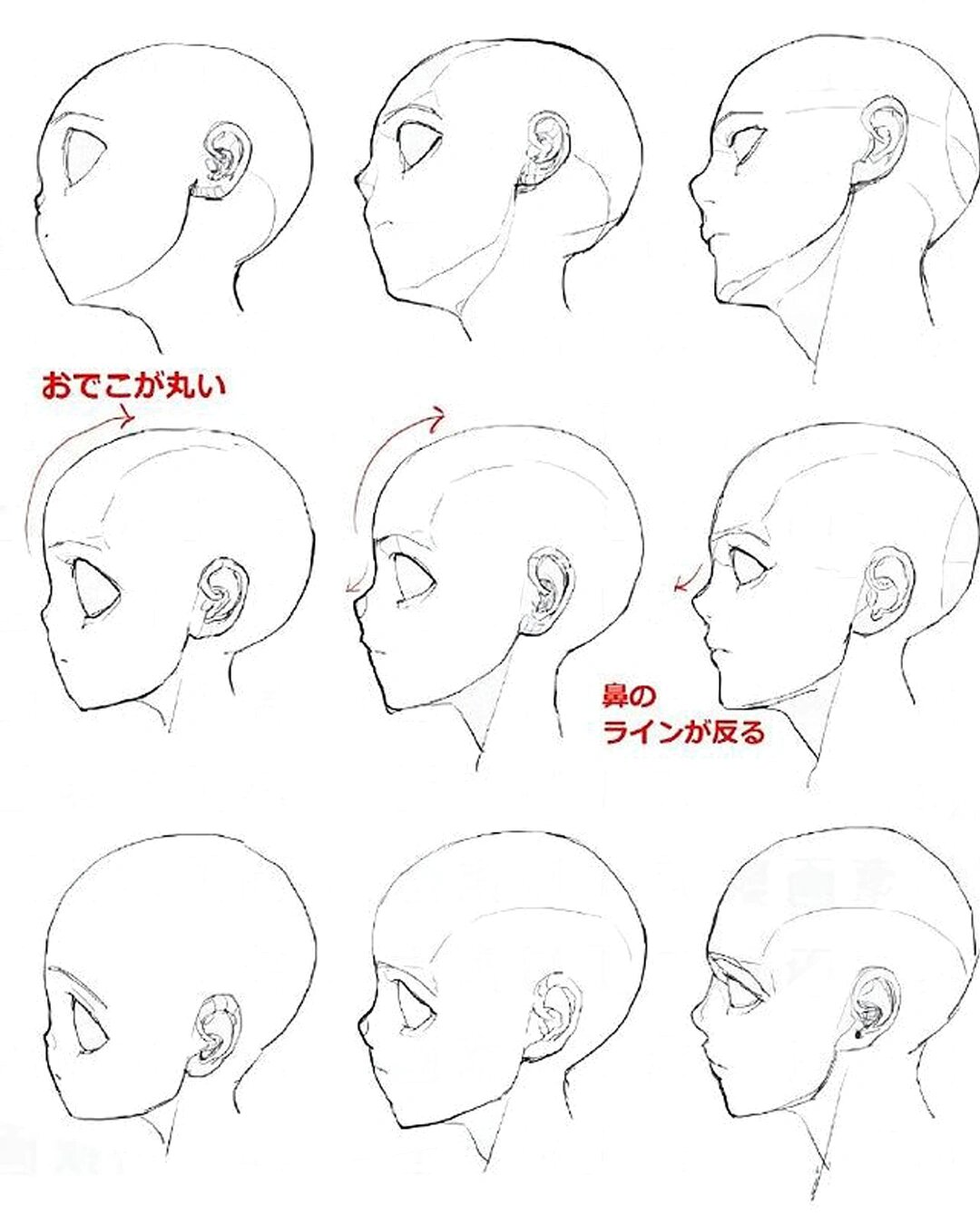 绘画素材 多角度头部结构素材练习75