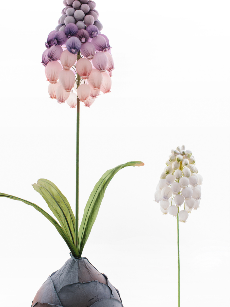 很仙很美!巨型葡萄风信子,仙气十足! #手工#