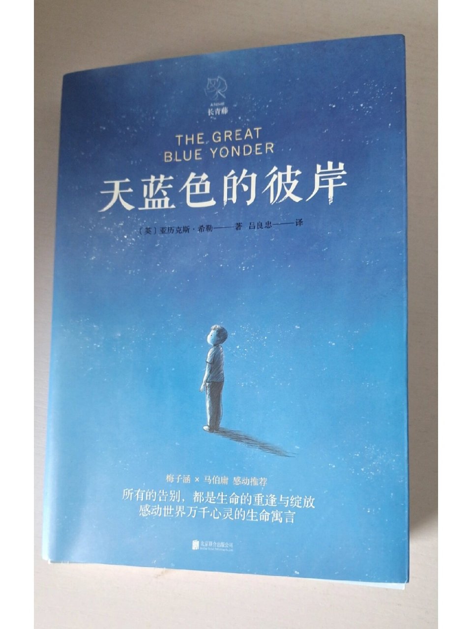 《天蓝色的彼岸》  作者:亚历克斯·希勒 《天蓝色的彼岸》  the