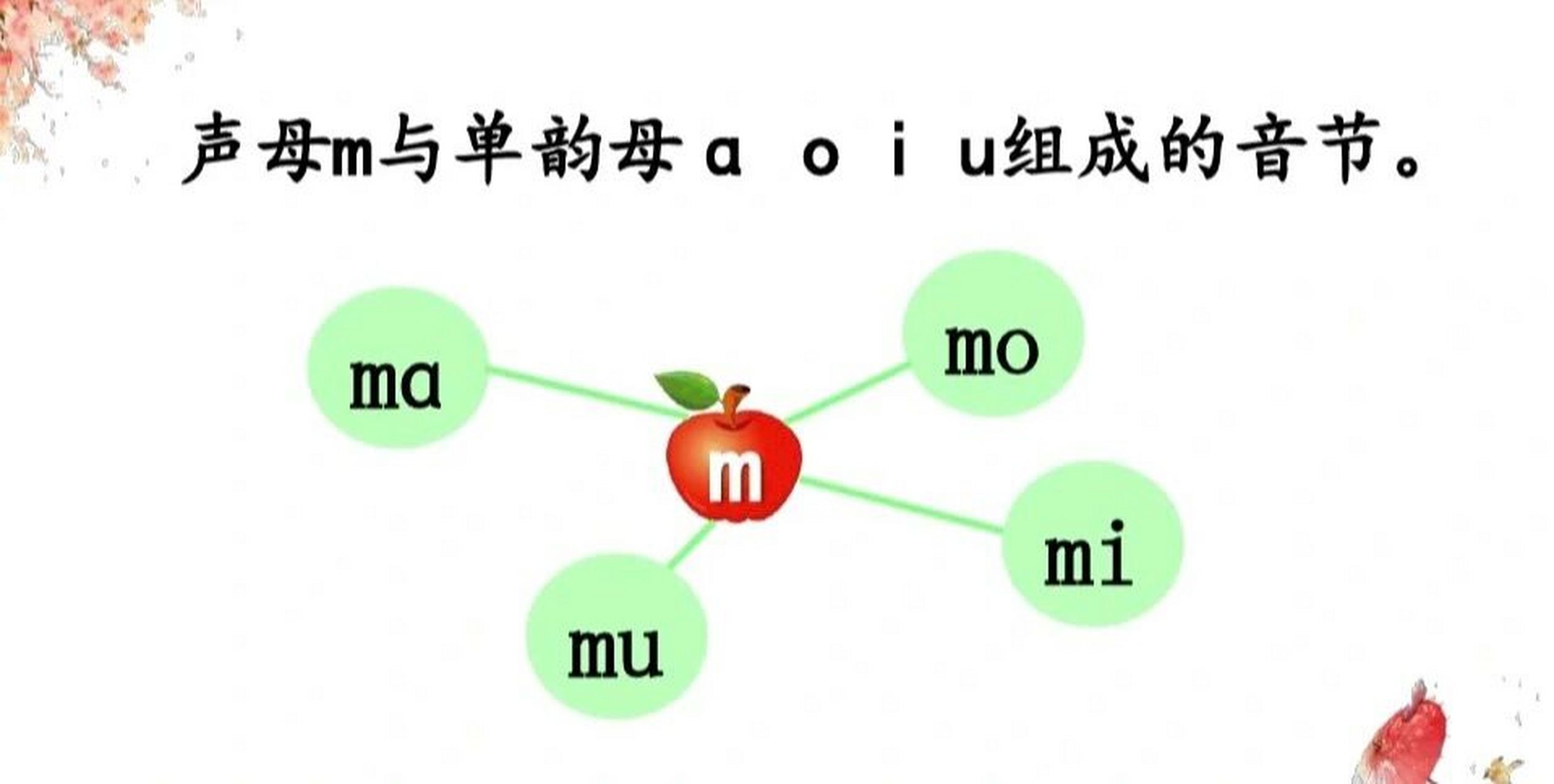 声母m教学图片图片