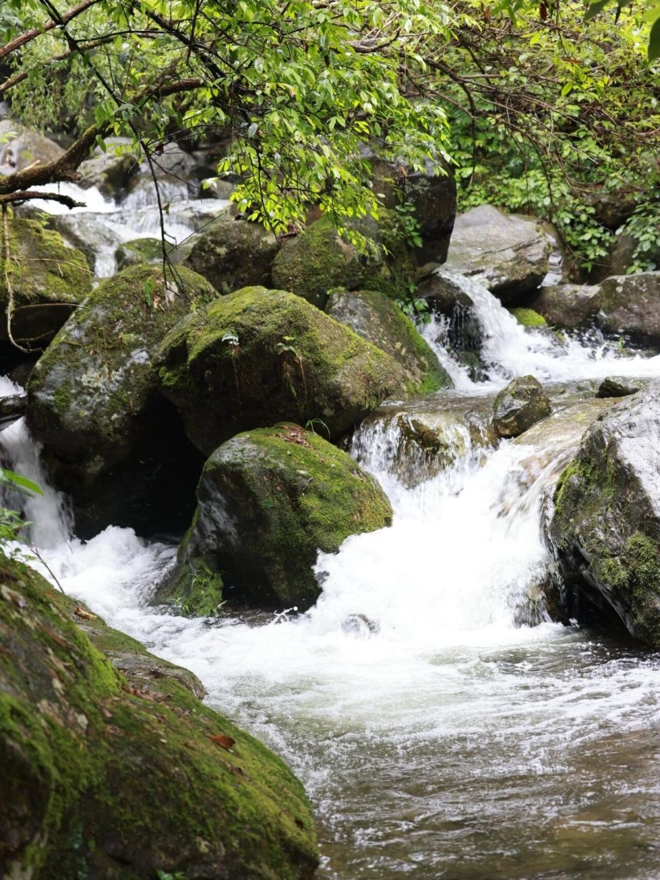 浏阳龙潭风景区简介图片