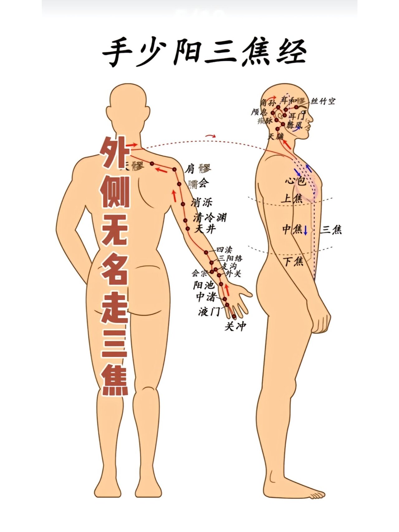 12条经络图口诀顺序图片