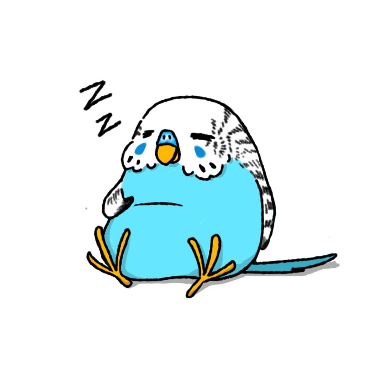 原创萌宠头像|肥肥鸟00大肚腩虎皮鹦鹉 肚腩改编自毛茸茸胸脯 虎皮