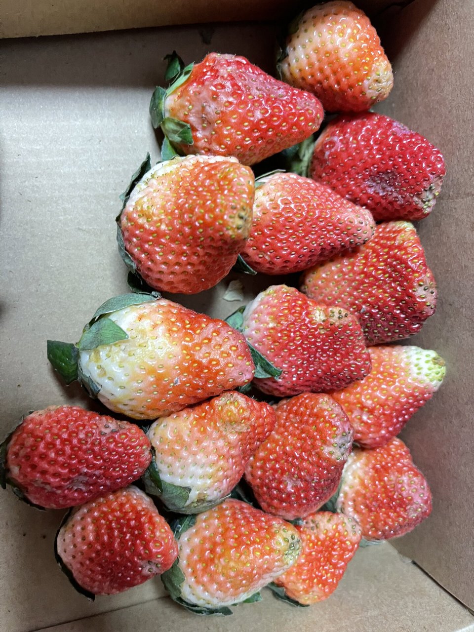 这就是我收到的烂草莓,就想问问谁敢吃 平台太烂了,也不负责,卖家卖