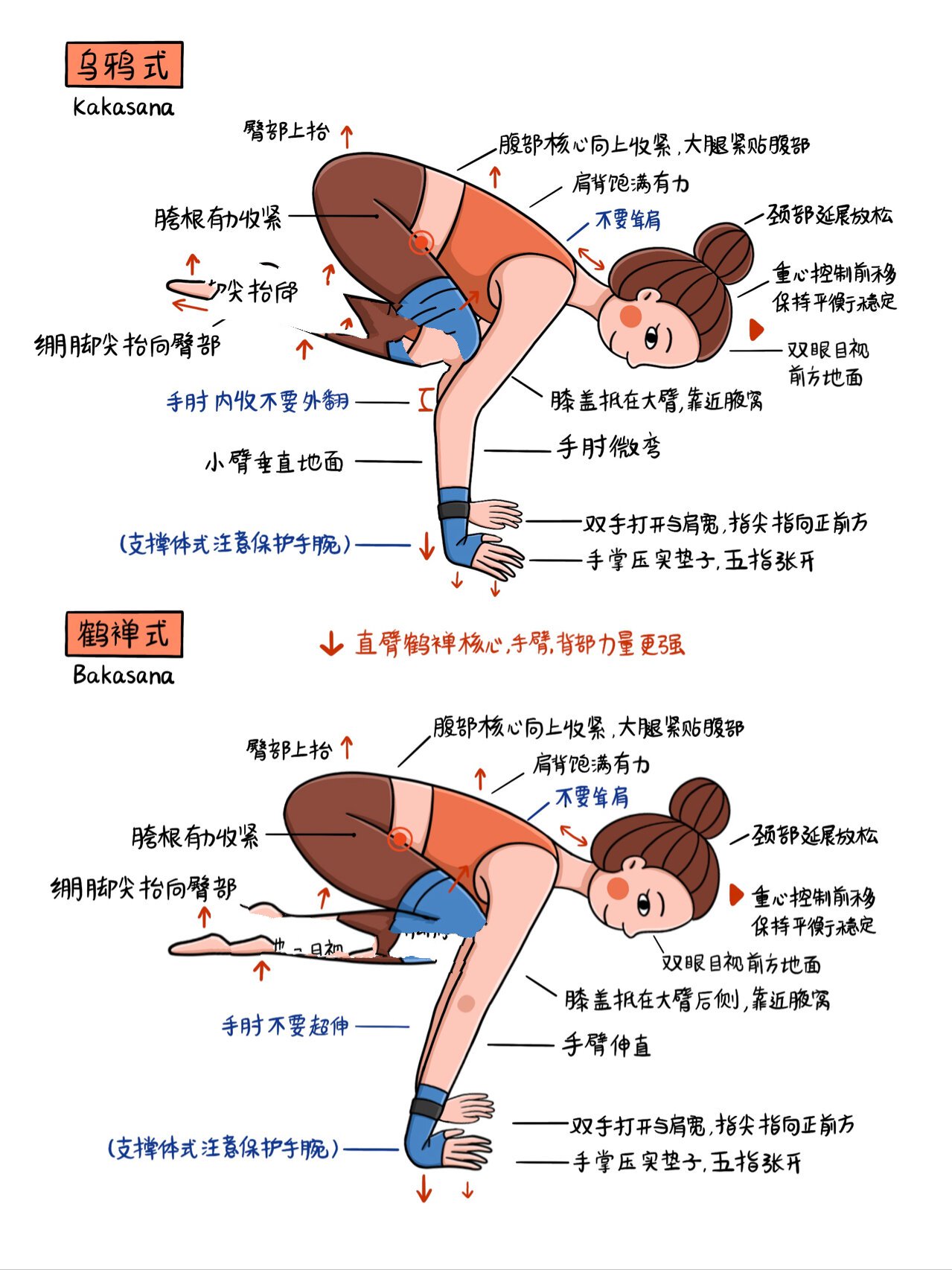 📖插画师の瑜伽体式笔记🧘p42乌鸦式