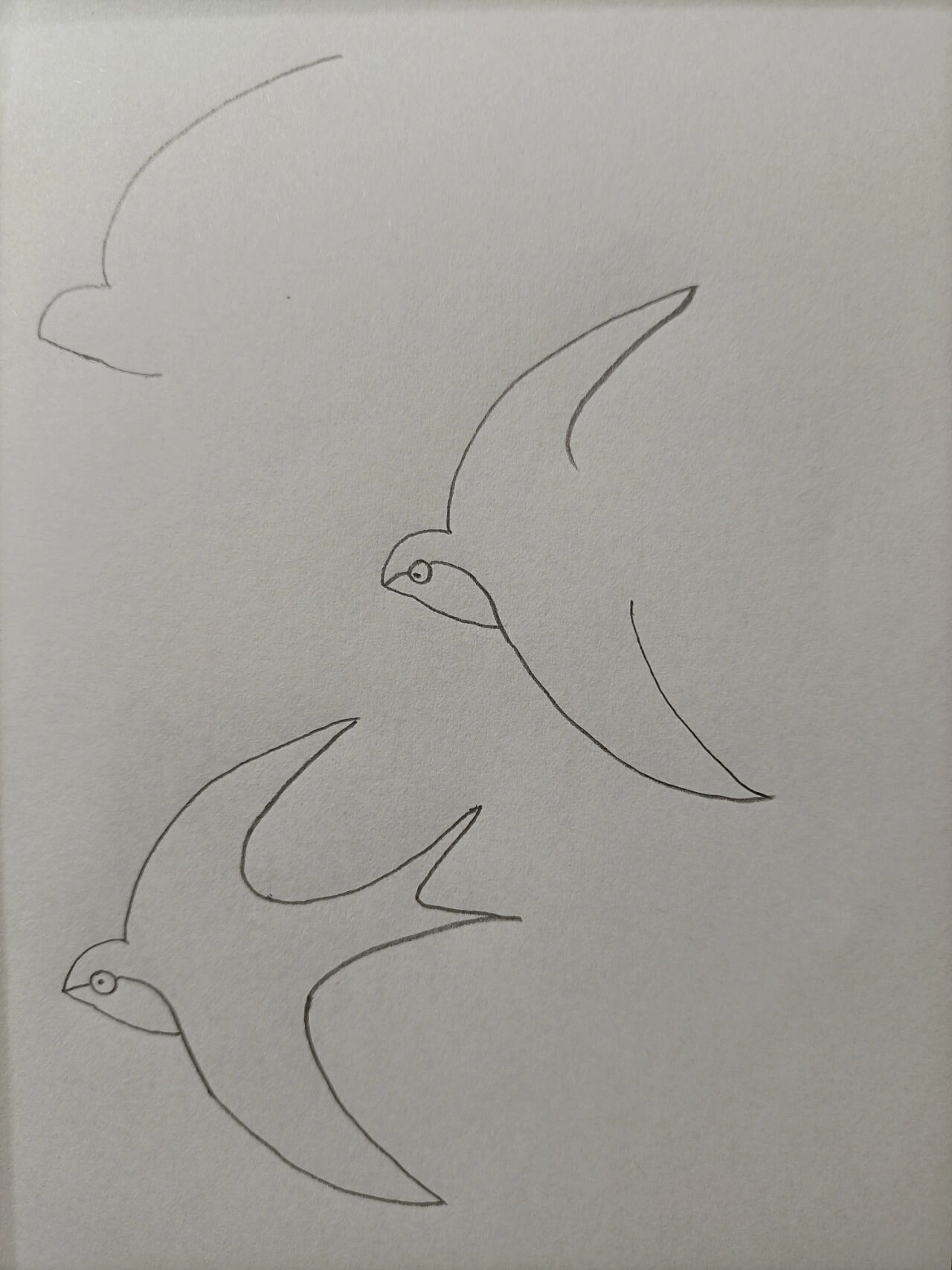 简笔画144小燕子