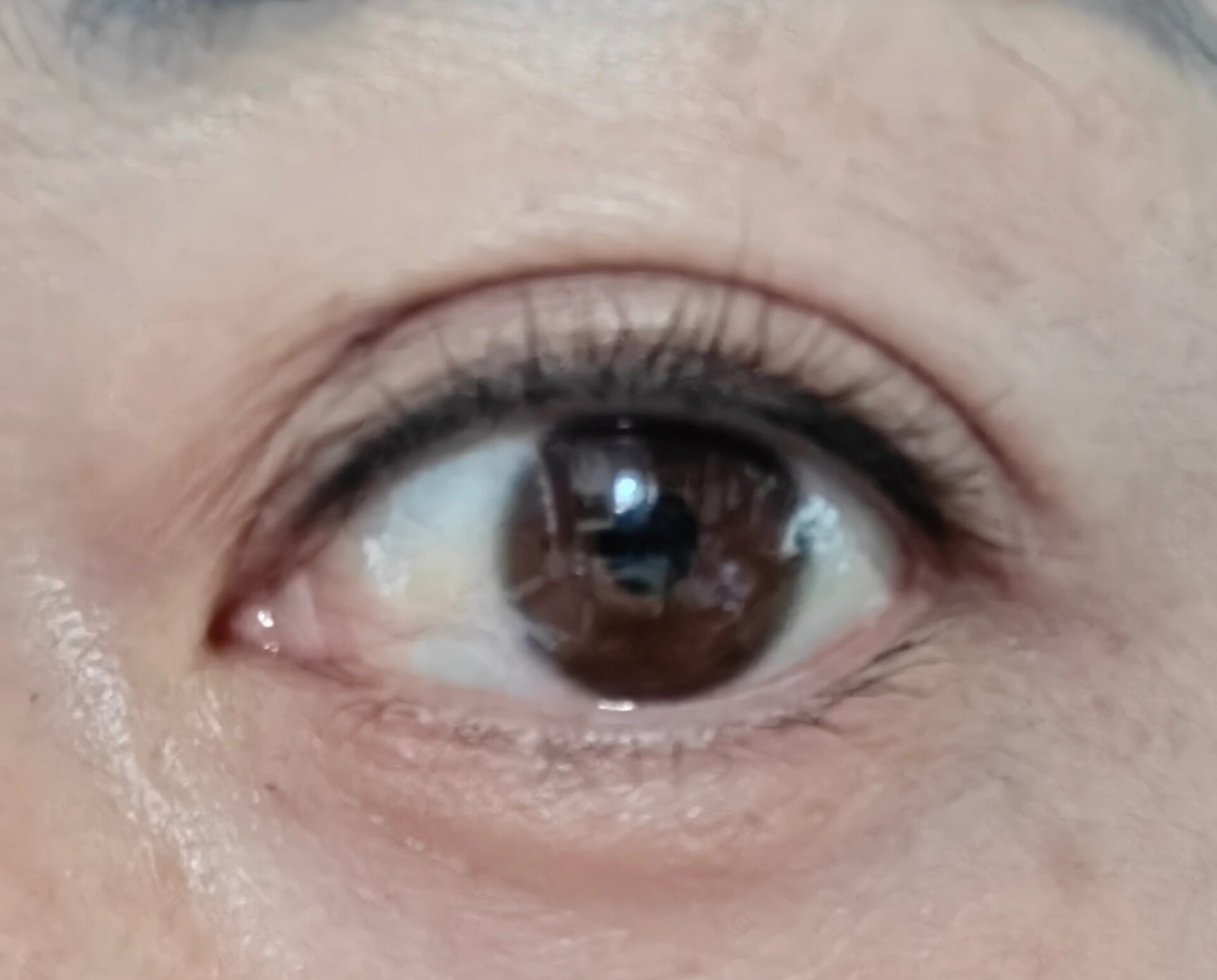 姐妹们来看看你是属于哪种眼型 我是桃花眼还是妩媚多情的柳叶眼呢?