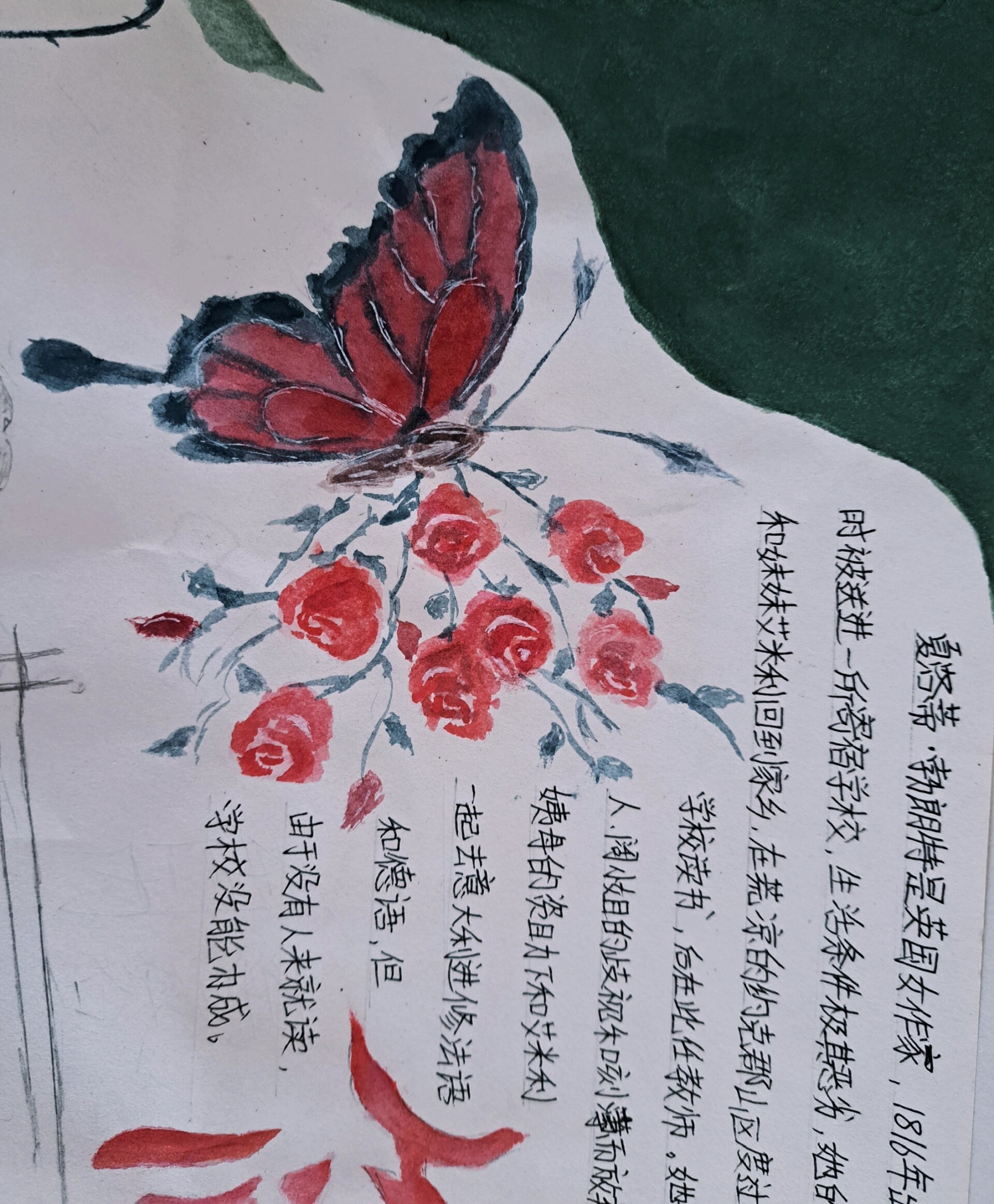 简爱手抄报～玫瑰