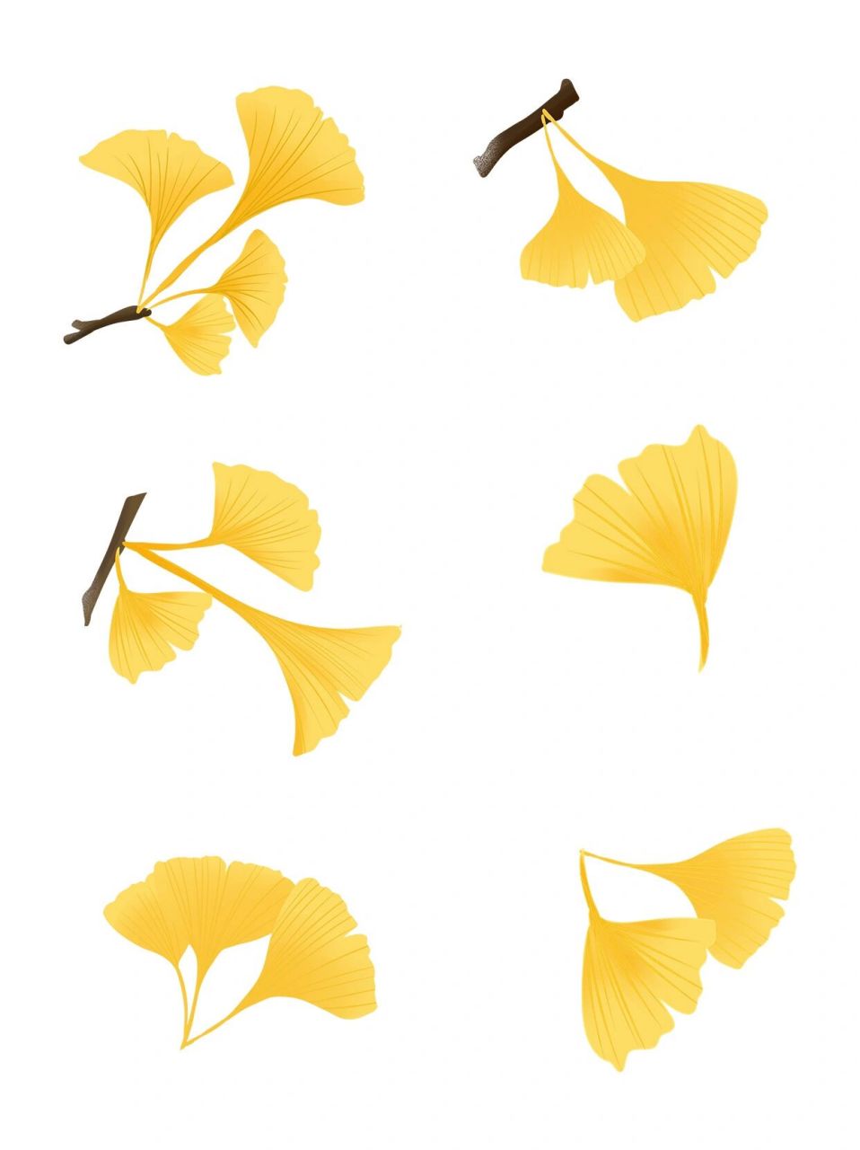 免抠素材93立秋卡通枫叶元素丨银杏叶子 秋叶落的静美.