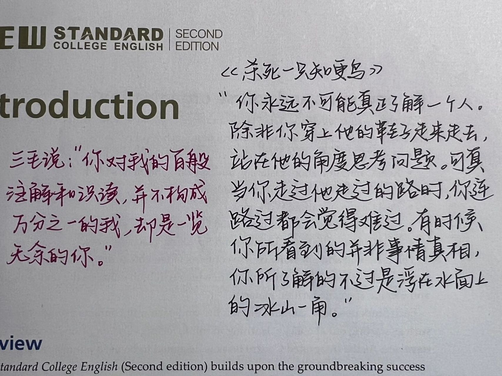手写|你对我的百般注解和识读并不构成 万分之一的我,却是一览无余的