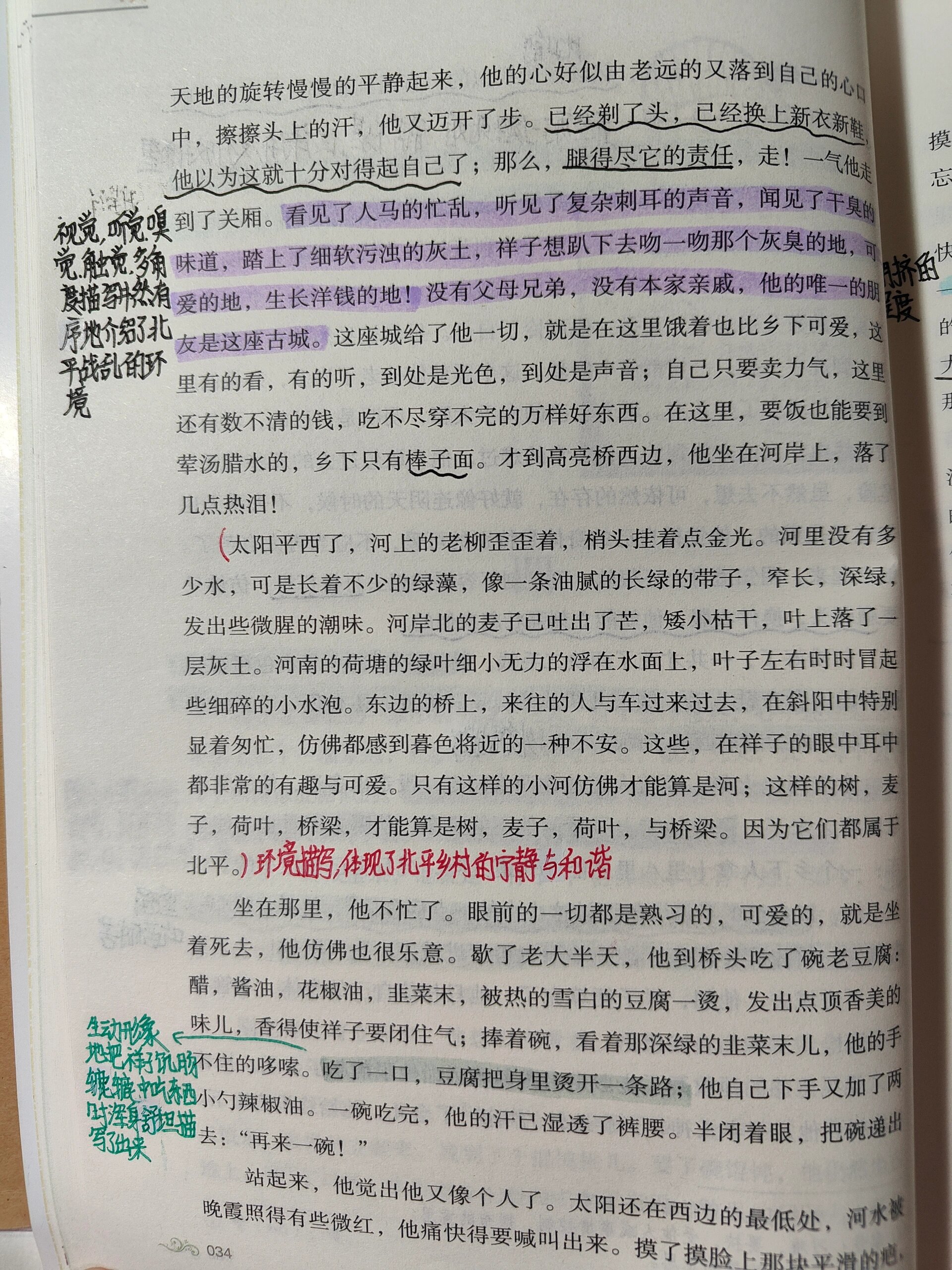 骆驼祥子第四章批注图片