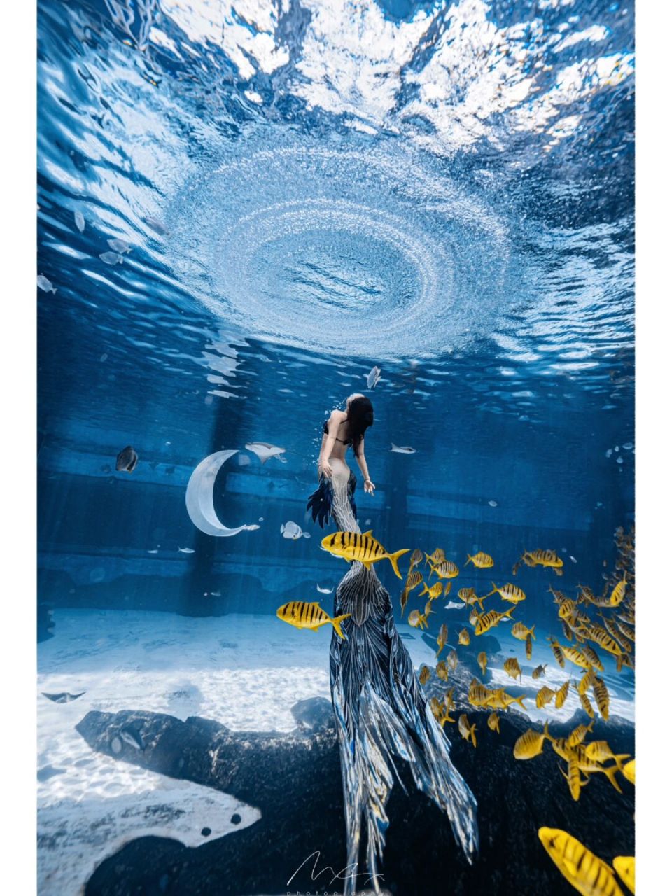 自由潜水|潜水员的朋友圈文案 7815人生在一念之间,自潜在一息