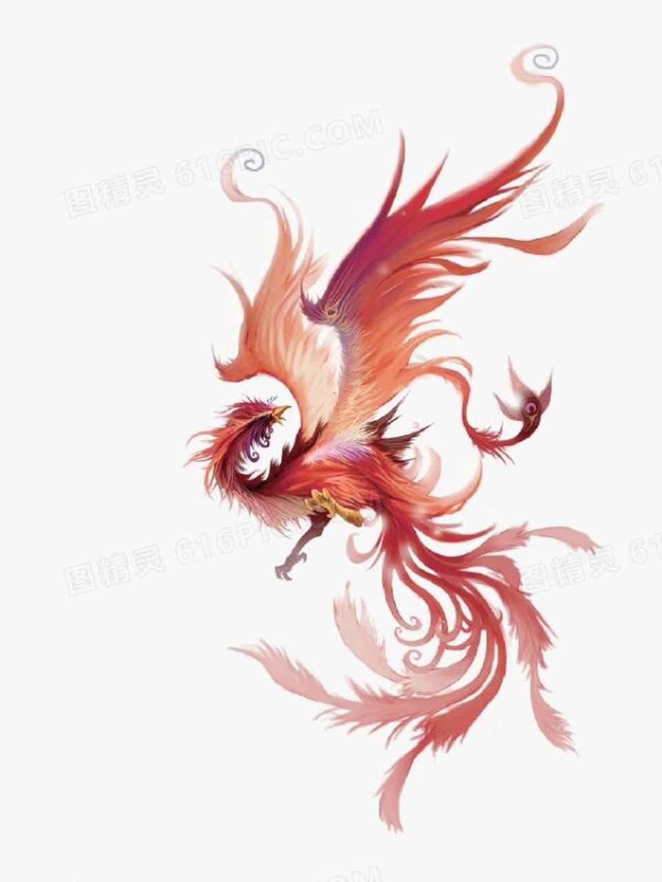 山海经 朱雀 朱雀 朱雀又称玄鸟,是象征火的圣兽,因为一身赤红得名