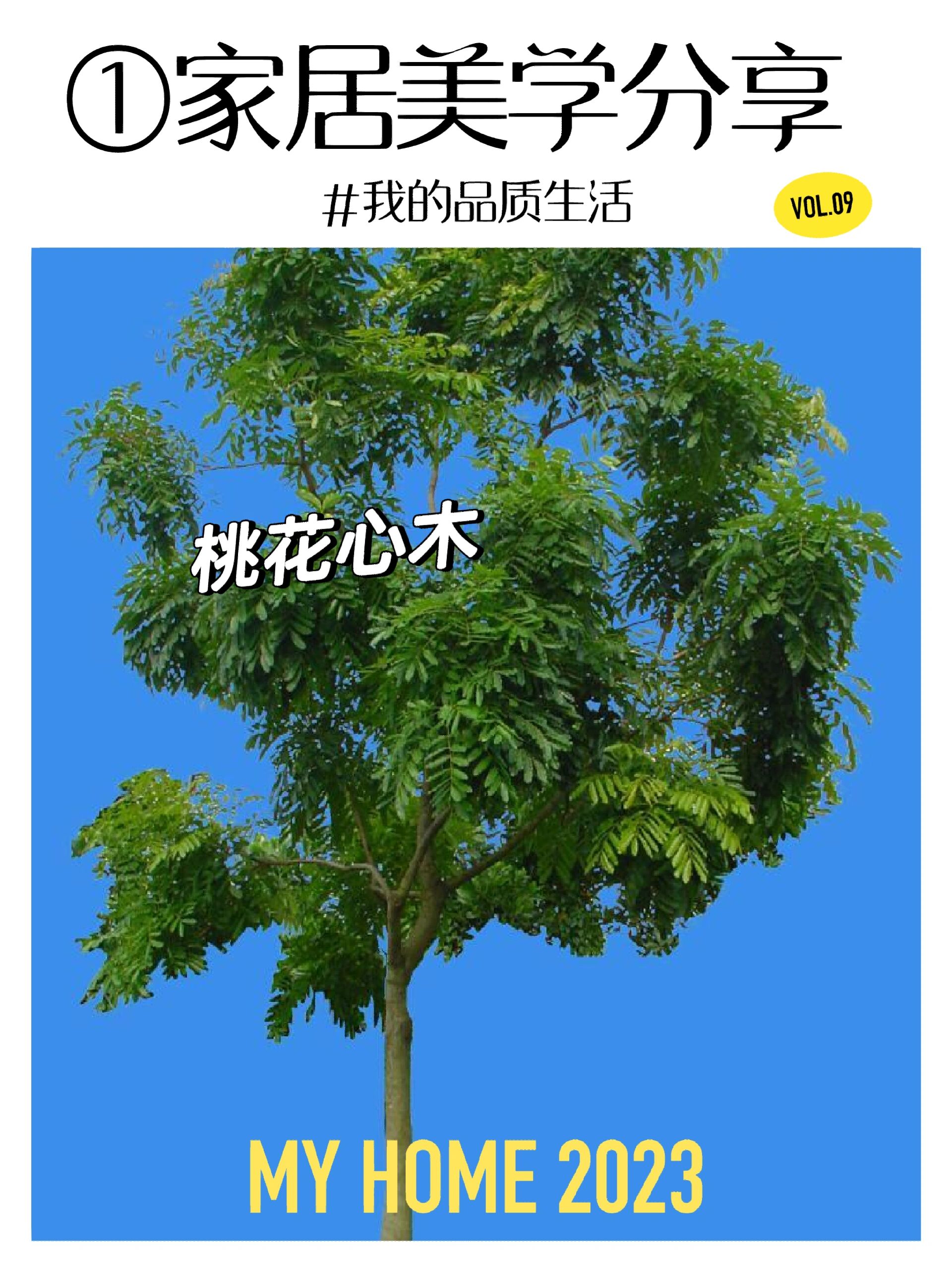 木材设计终极指南 二十 桃花心木