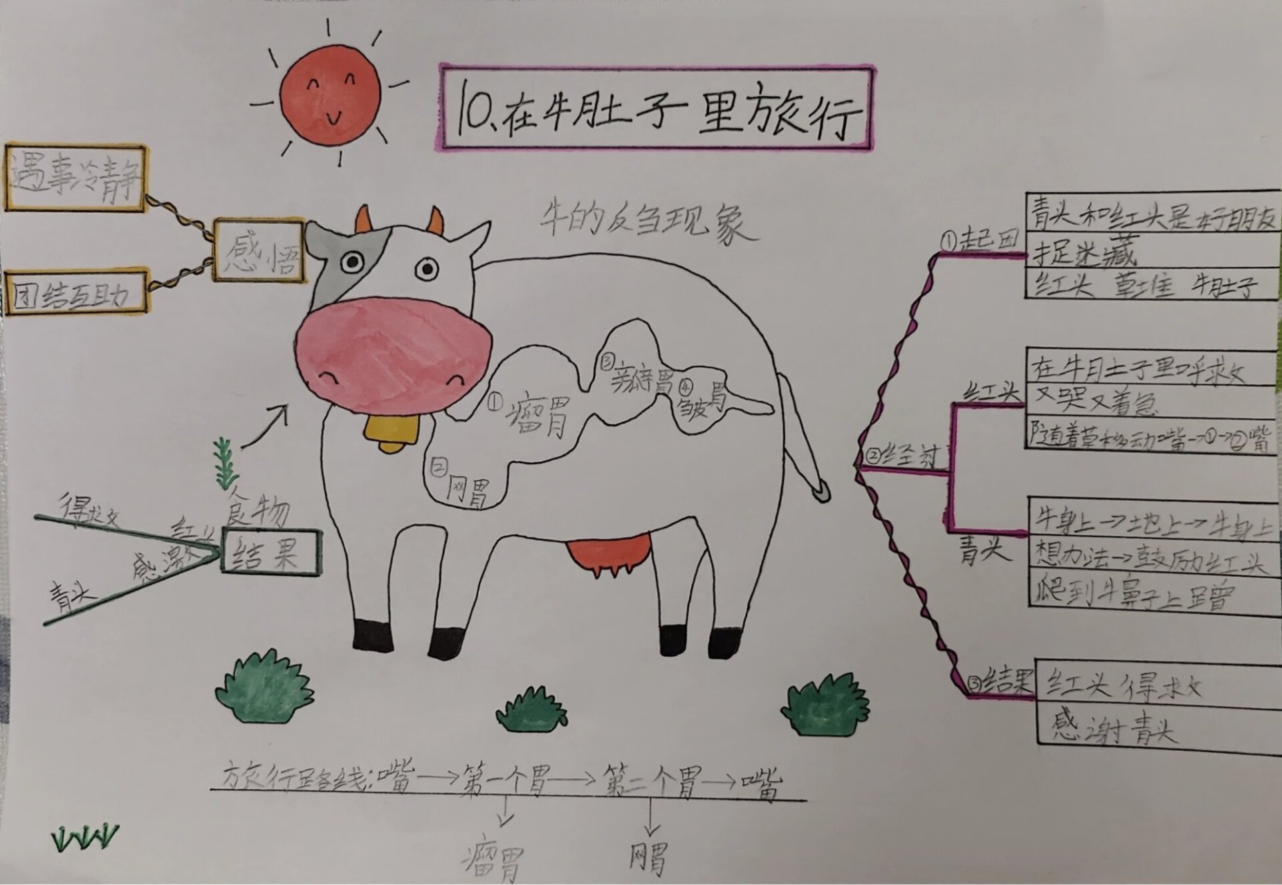【在牛肚子里旅行】思维导图