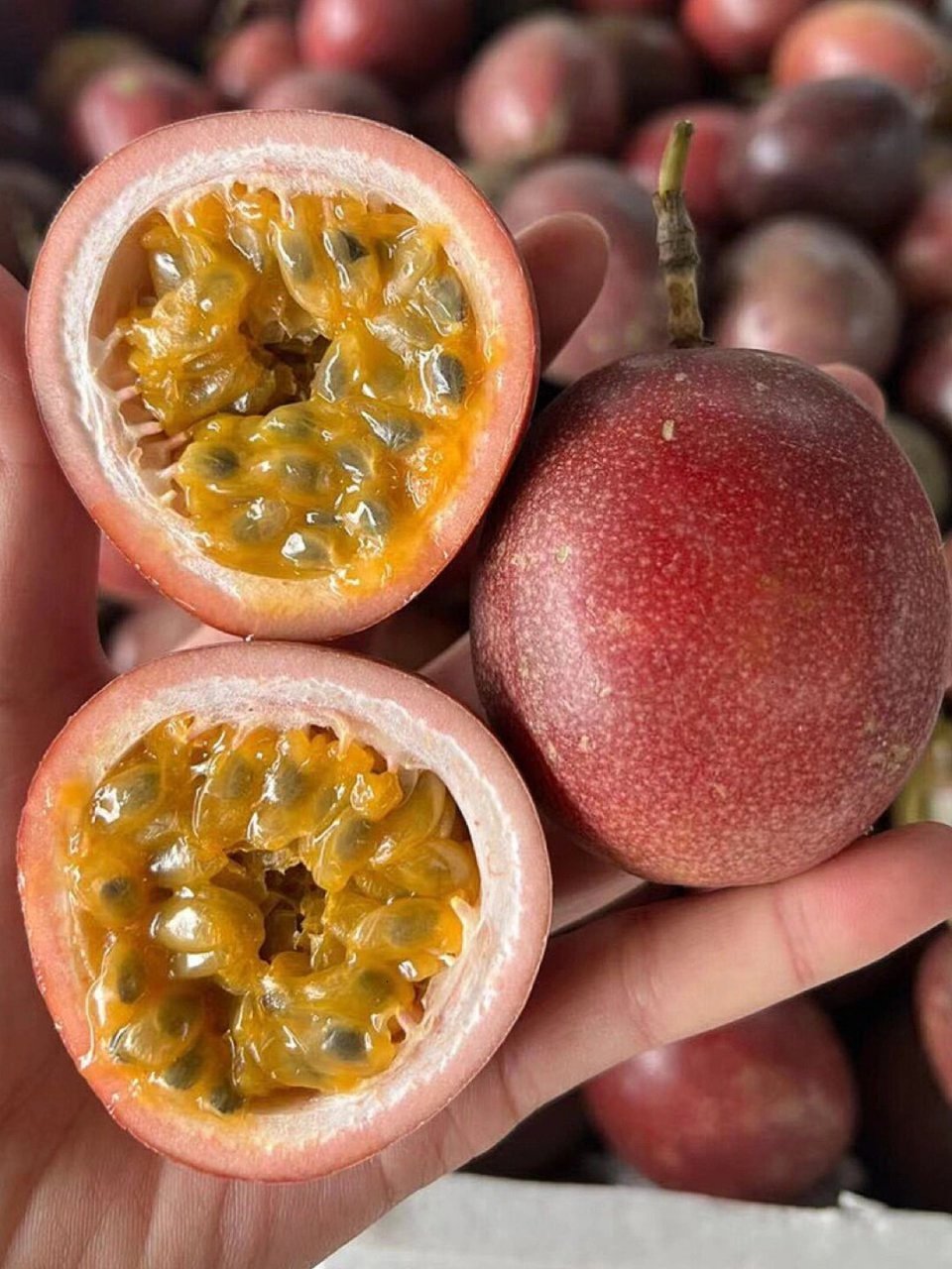 高山紫香一号百香果 当你遇上百香果, 尝试过就会喜欢上她的香, 贪恋