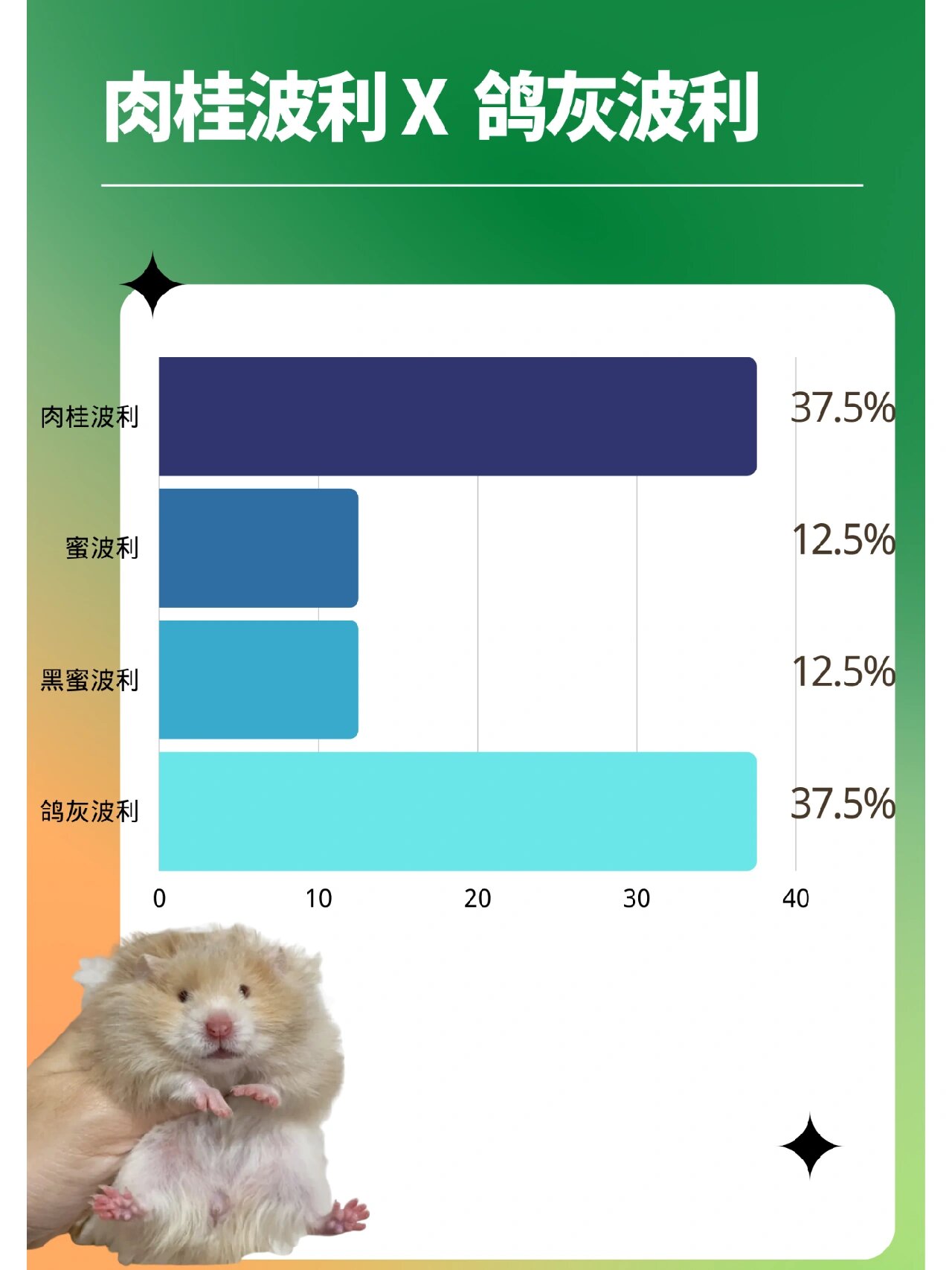 肉桂波利金丝熊后代繁殖推算