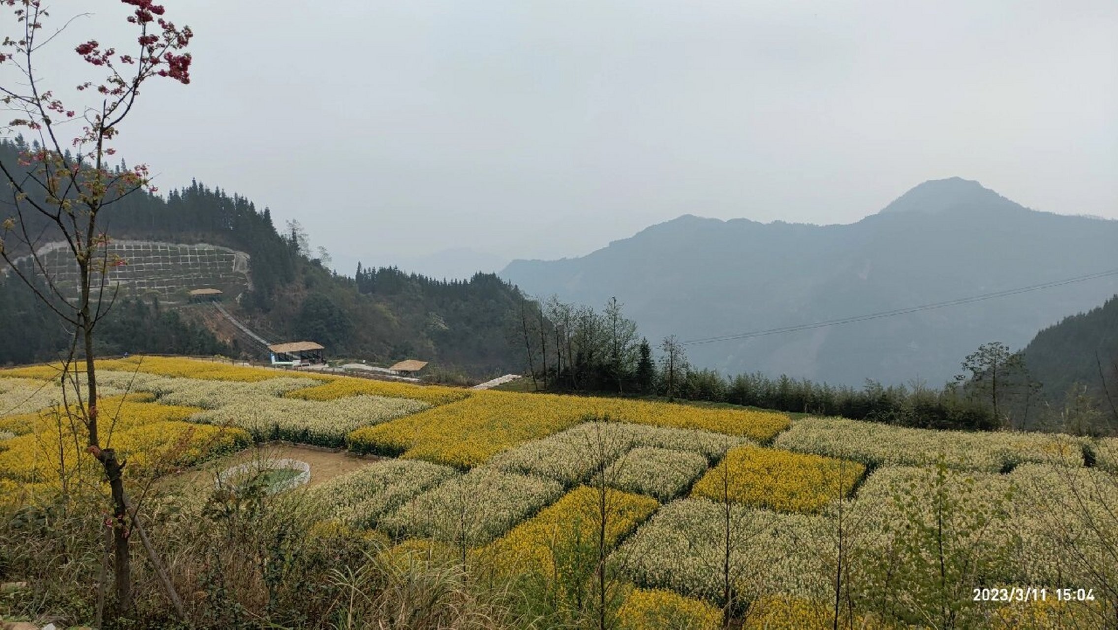 贵州册亨县秧庆万重山图片