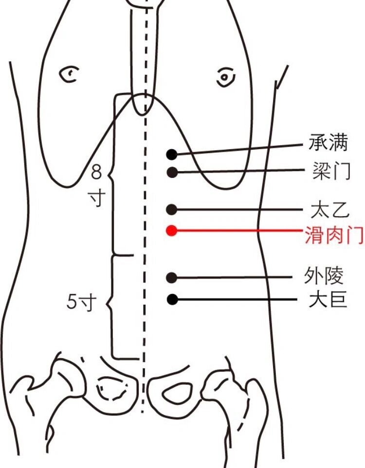 每日一穴～滑肉门穴: 镇惊安神,清心开窍 滑肉门为经穴名