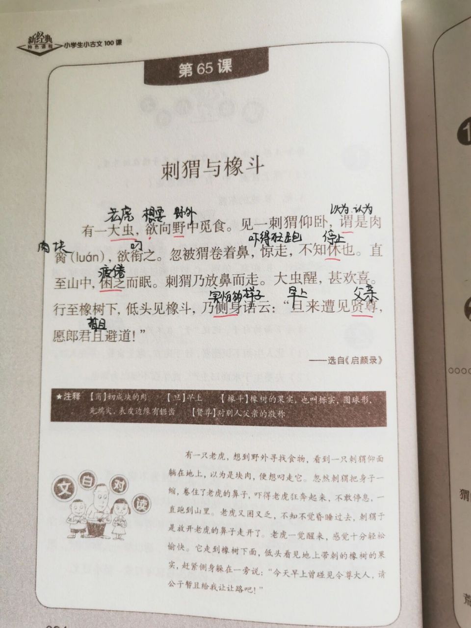 小古文学习-第65课 刺猬与橡斗
