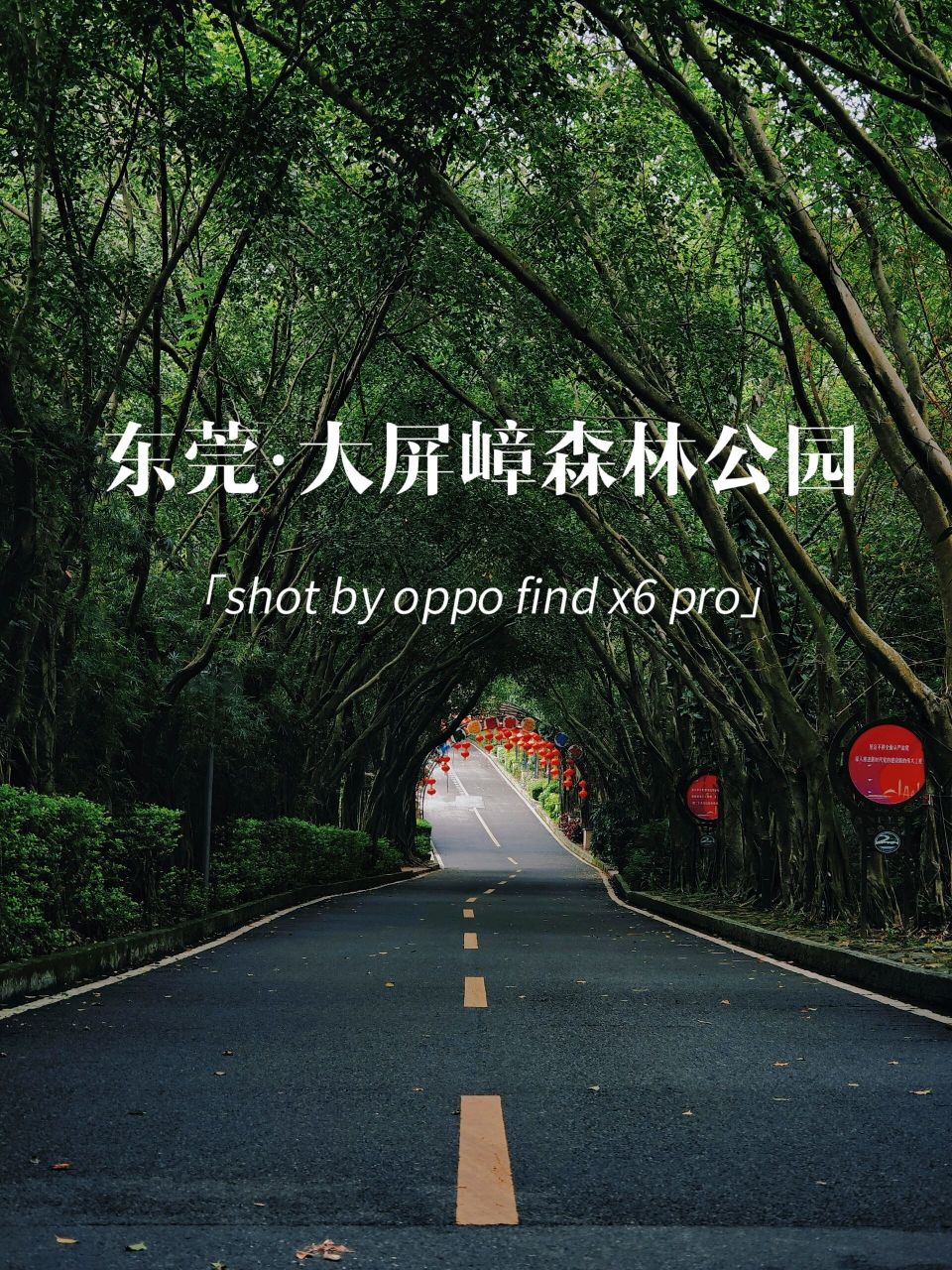 深圳周边,大屏嶂森林公园,探秘绿野仙踪 若想远离城市喧嚣,给自己内心