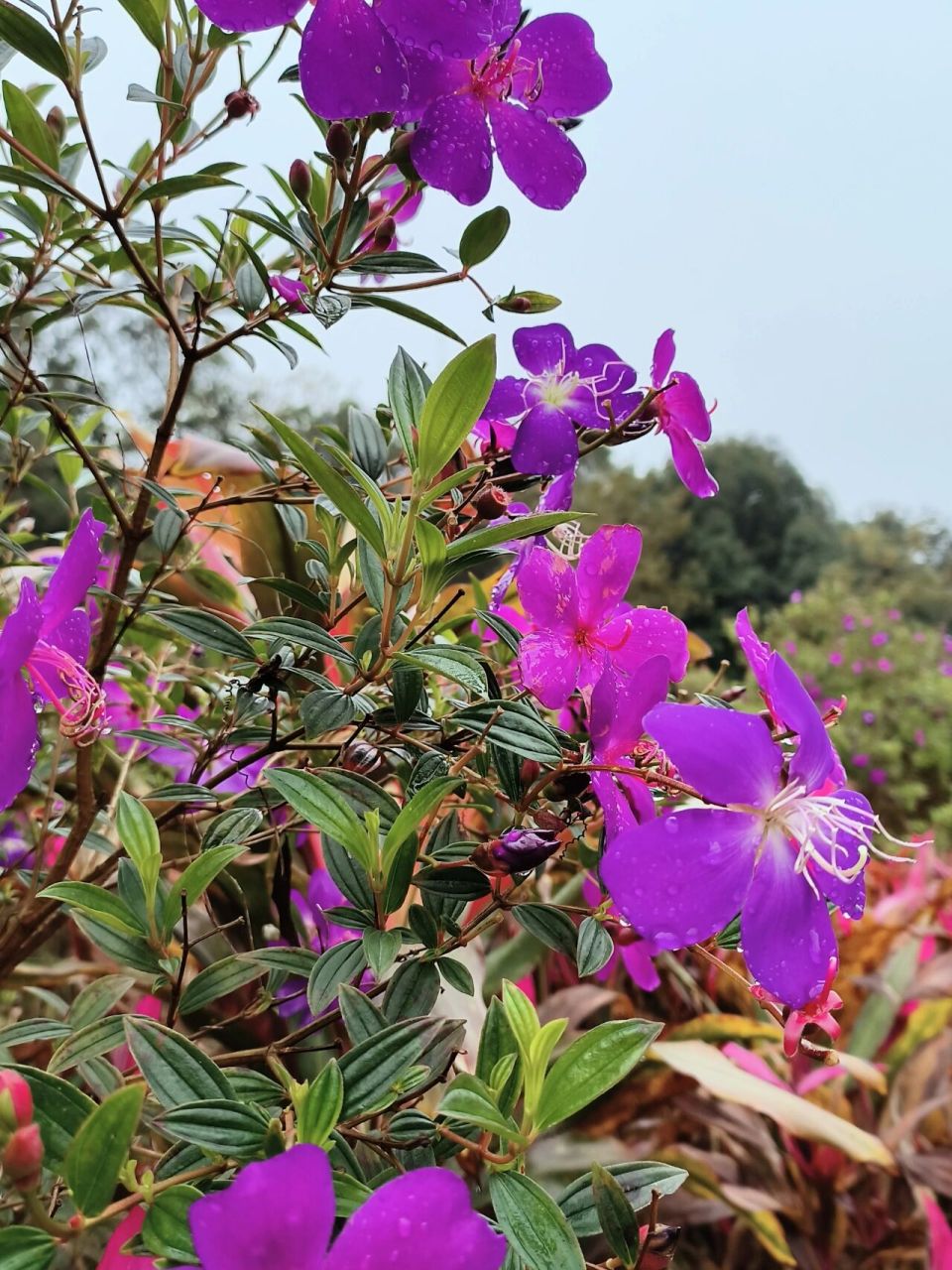 云浮郁南 ·都城两日游     第一日 中山路 中山路有很多复古的建筑