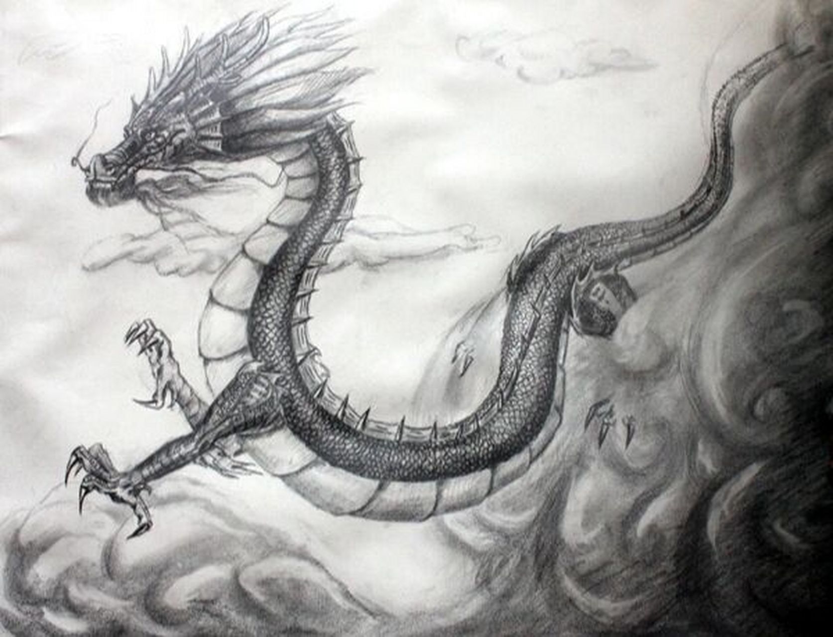 梦到龙 前一段时间真真切切的梦到了龙,我只是喜欢