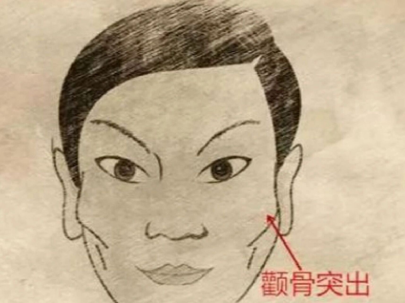 颧骨高凸的人对权利的追求比较强势 性格霸道,爱掌控事情,在职场中