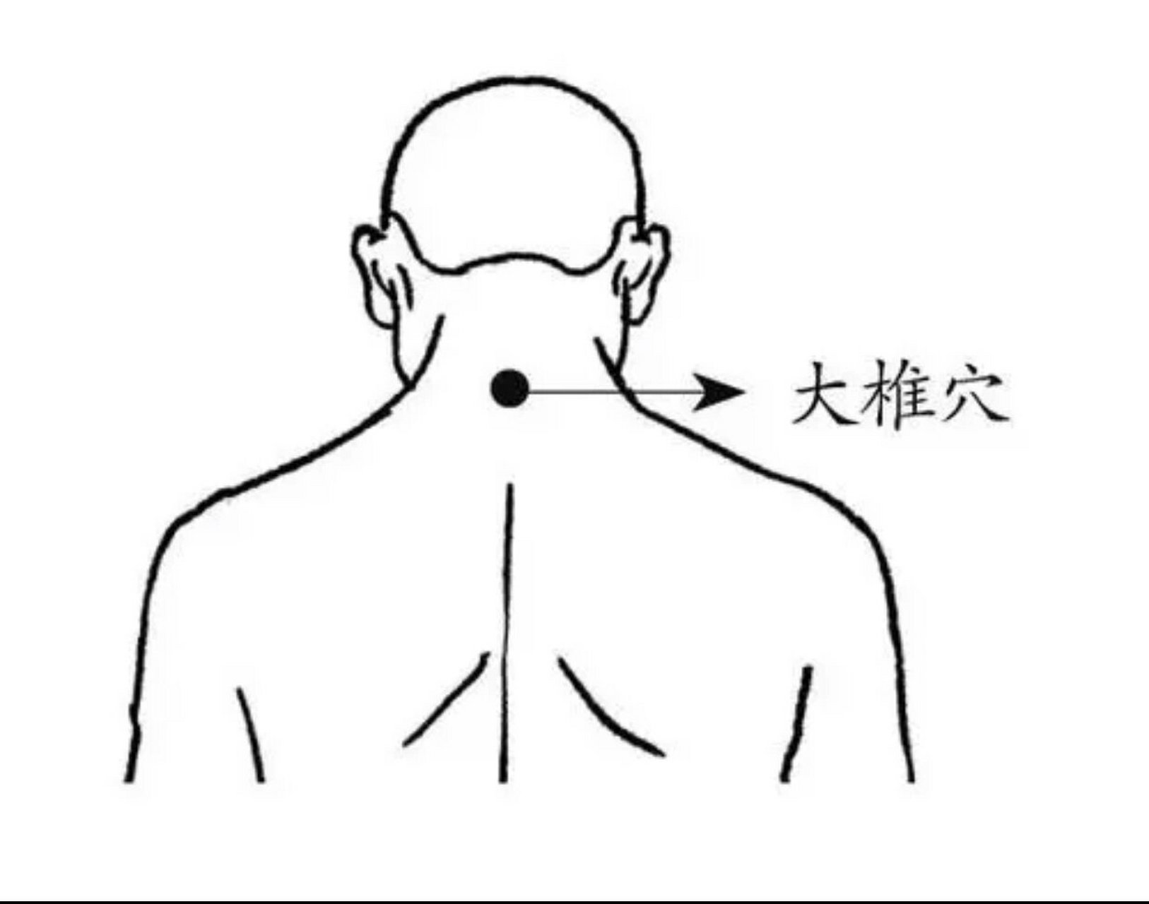 膻中穴在倆个乳头连线的中间.