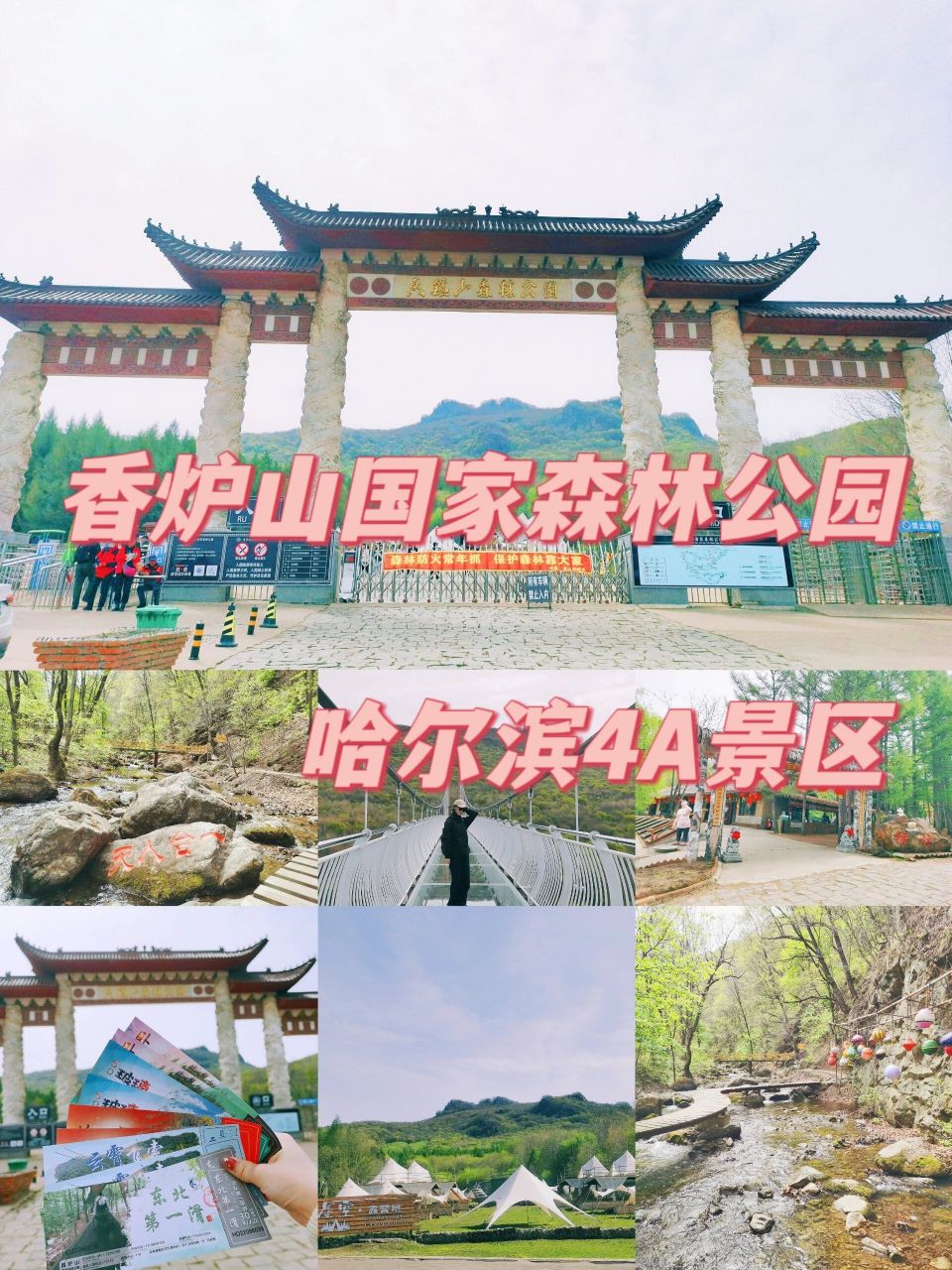 森林公园——哈尔滨周边游 7515地点:香炉山国家森林公园4a景区