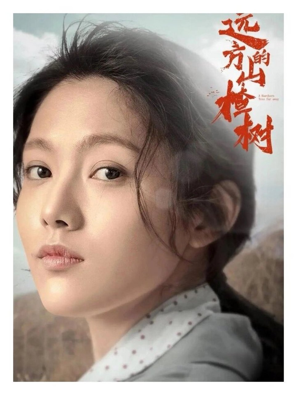 远方的山楂树 ③小主