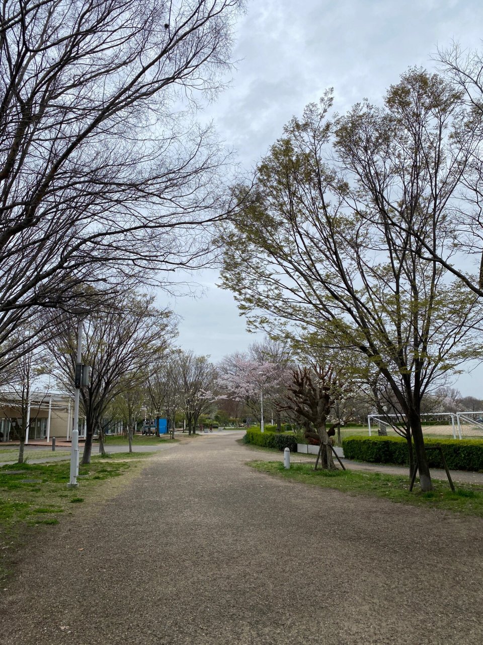 日本关西富人区芦屋市