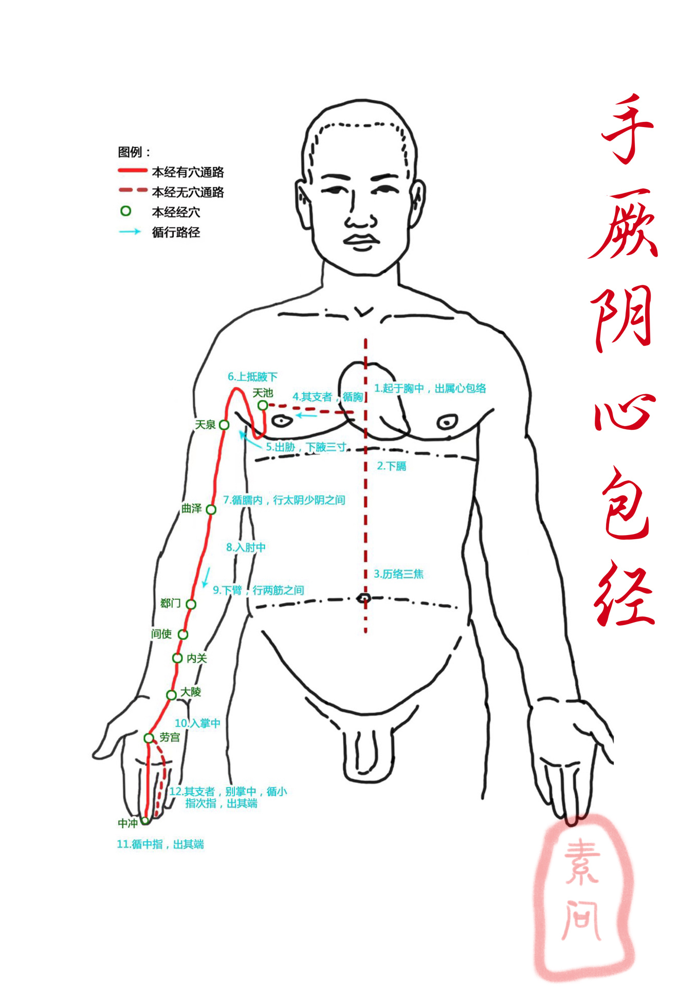 手臂6条经络图片