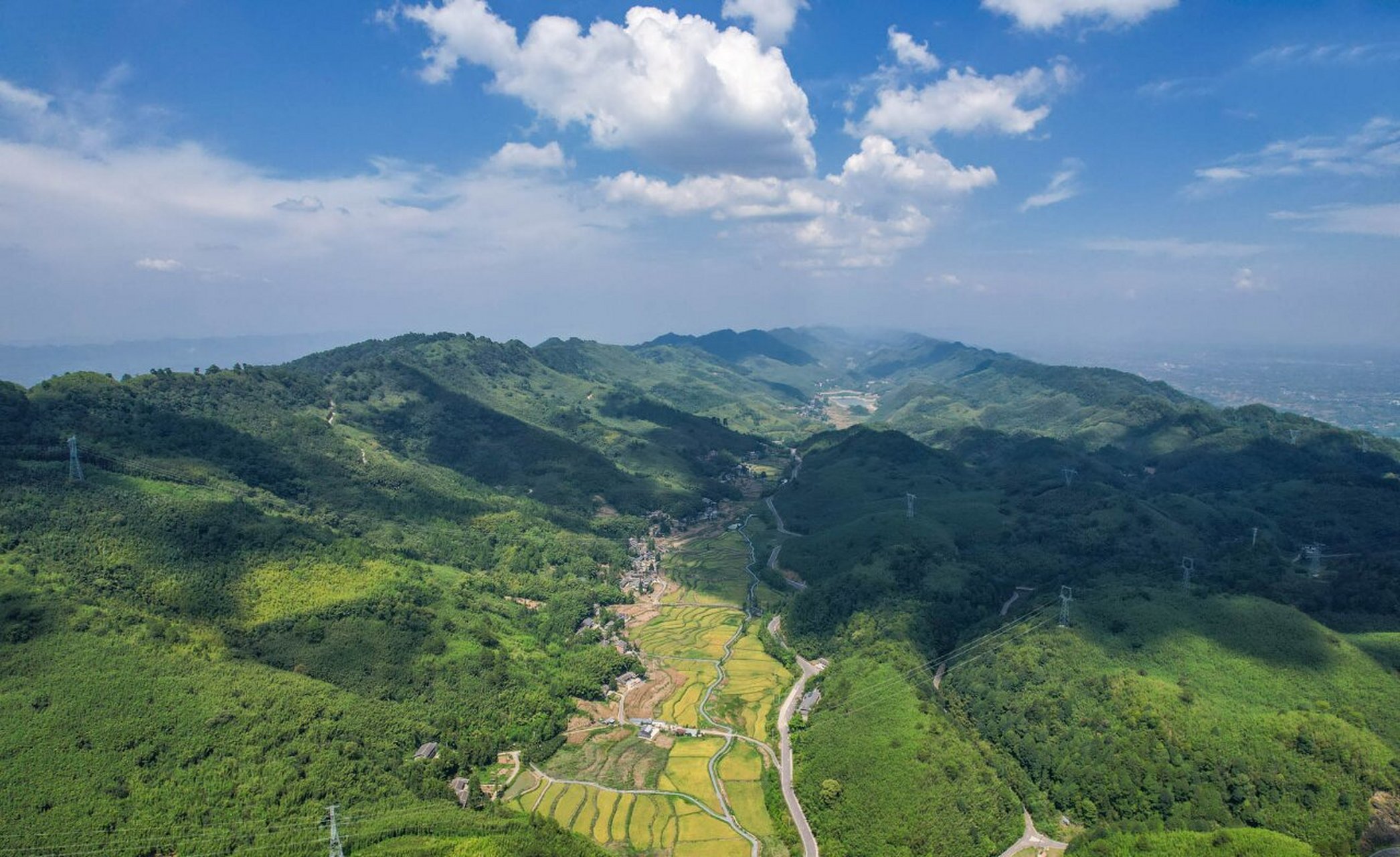 鲜为人知的重庆梁平百里竹海,你去过吗?