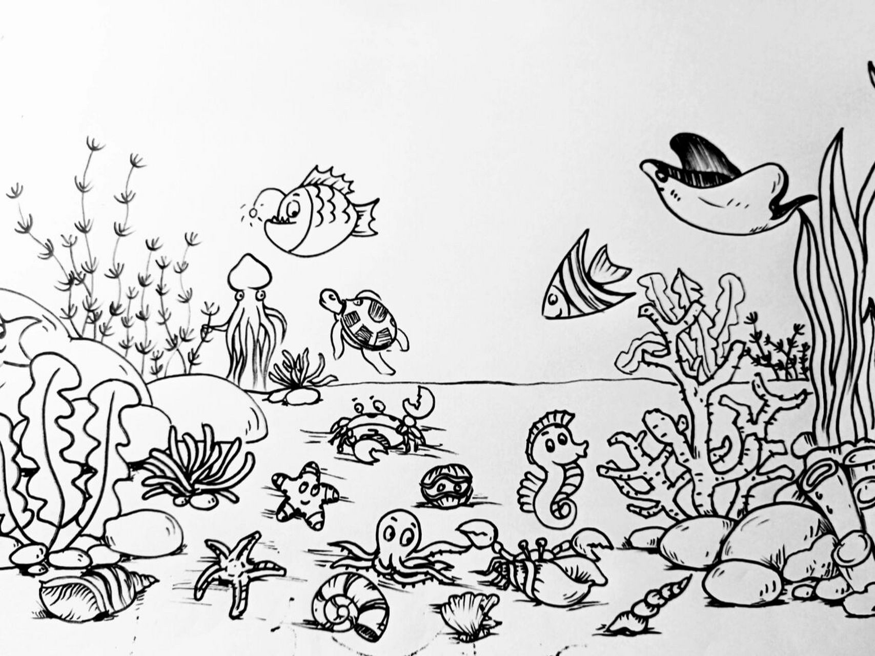 海洋简笔画简单 手绘图片