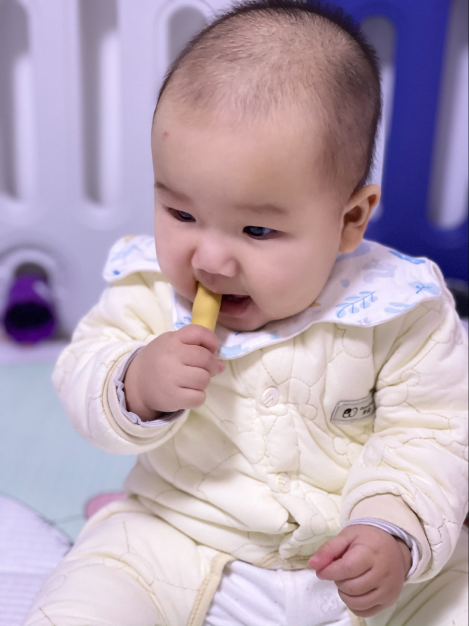 千万不要给宝宝买磨牙棒饼干!