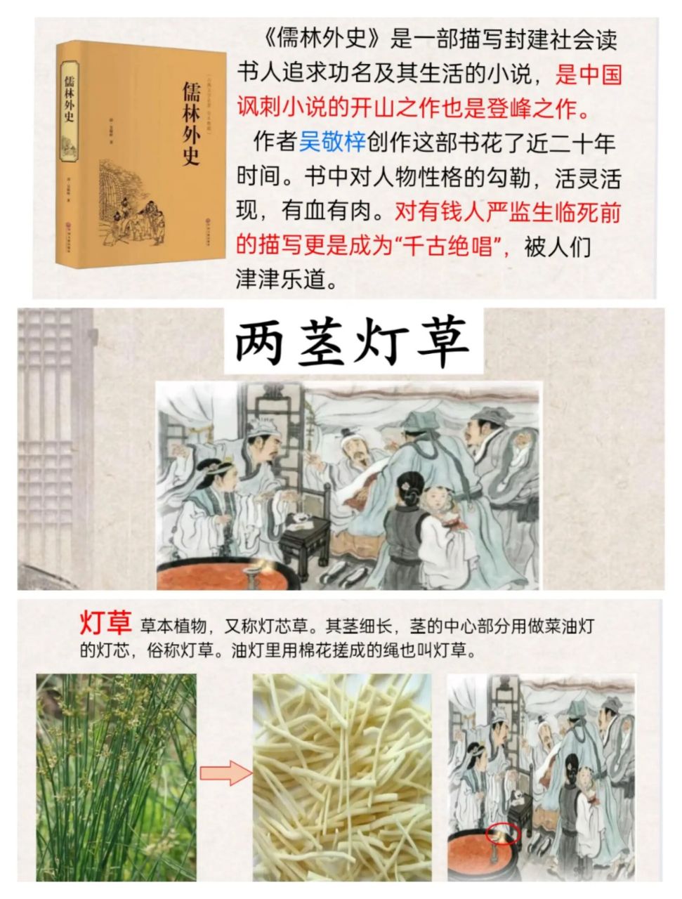 人物描写一组之《两茎灯草》 课件77教案77预习单 	 参加校内优课