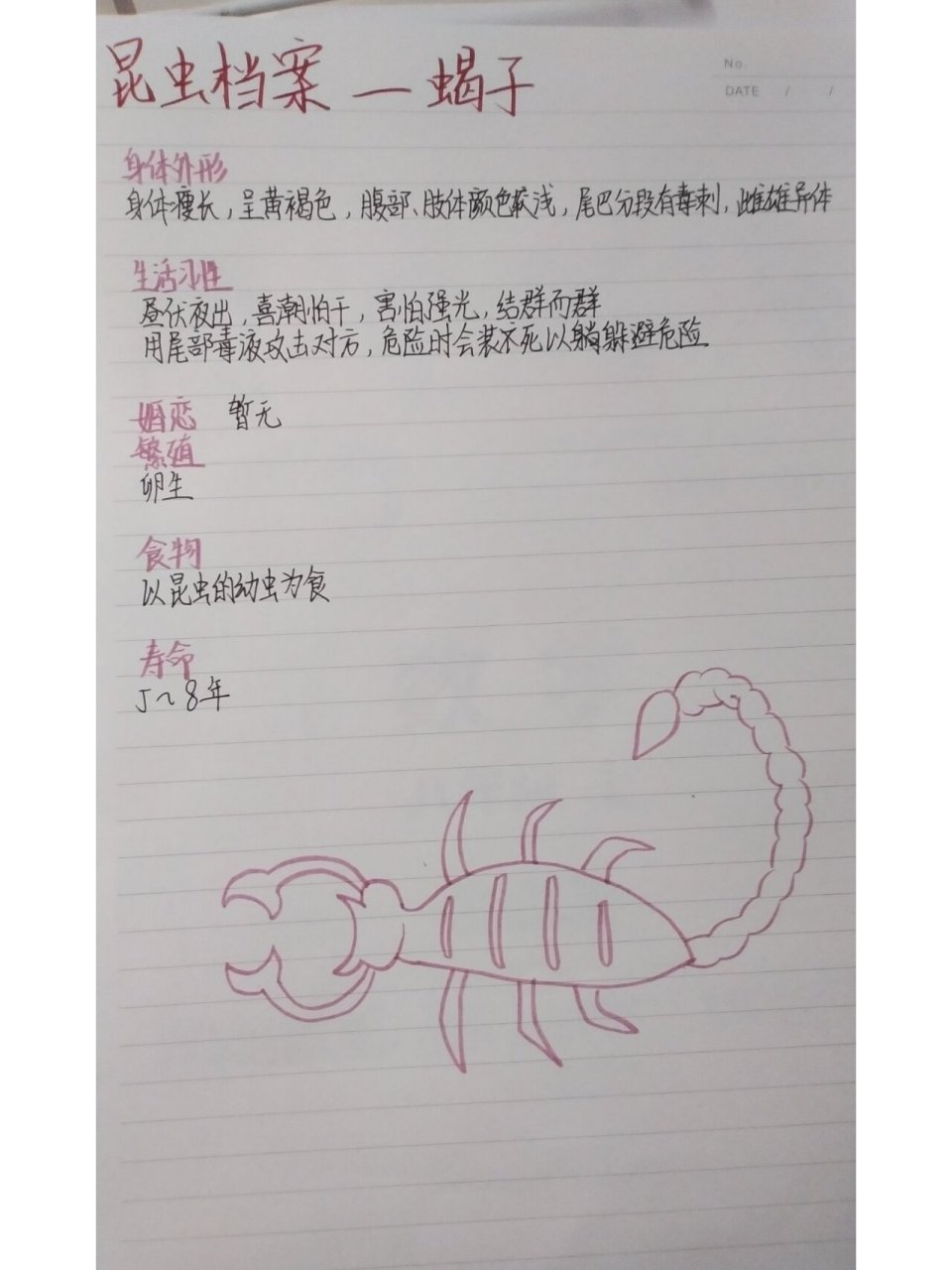 巜昆虫记》昆虫档案蝎子 嗯,一份抑郁的蝎子,也够草率的 