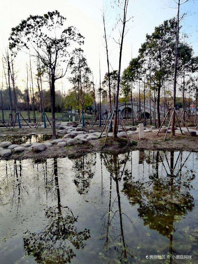 浦东金海湿地公园门票图片