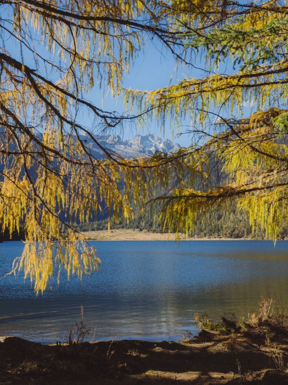 伍须海被低估的太严重,在川西的风景里,这里肯定是拿的出手的.