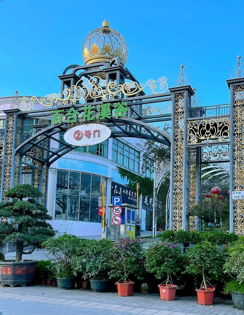 不是我说～这是深圳最便宜的花卉市场了吧   南山-深港花卉 南山-荷兰