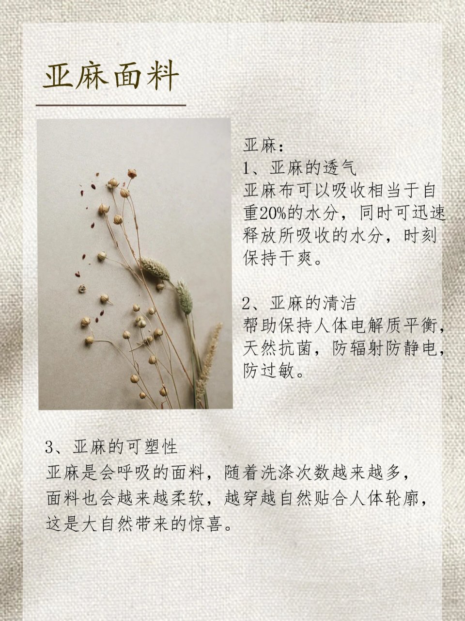 亚麻vs苎麻vs棉麻 三种麻料有什么区别?
