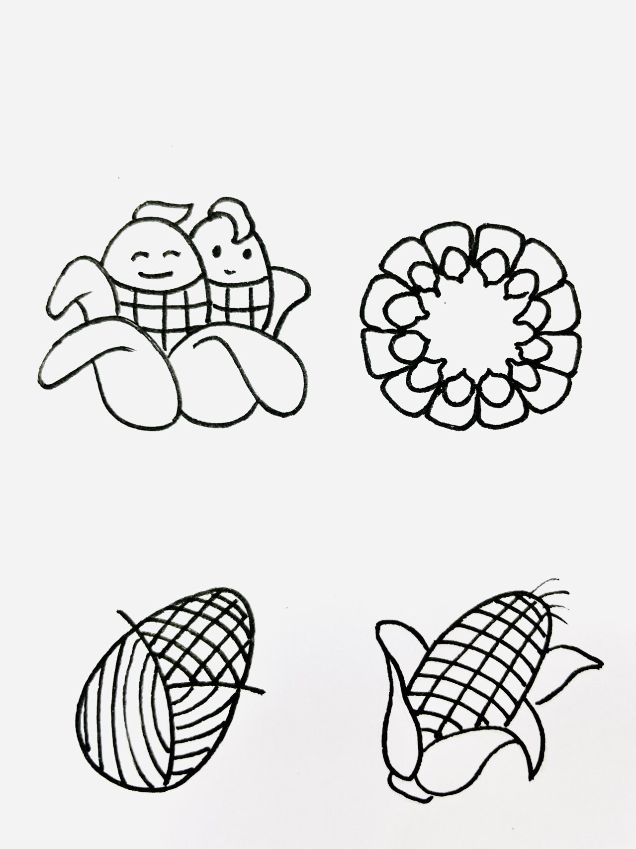 【简笔画】玉米99