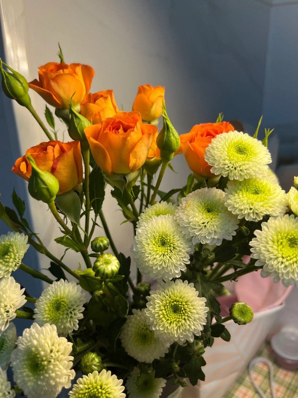 香水小菊的花语是永远快乐98 98079807超可爱嫩绿色小雏菊